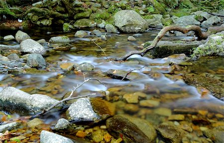 simsearch:400-05273059,k - water spring in forest Stock Photo - Budget Royalty-Free & Subscription, Code: 400-04756285