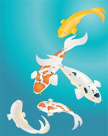 exotic underwater - an illustration of colorful koi carp in blue water Stock Photo - Budget Royalty-Free & Subscription, Code: 400-04757089