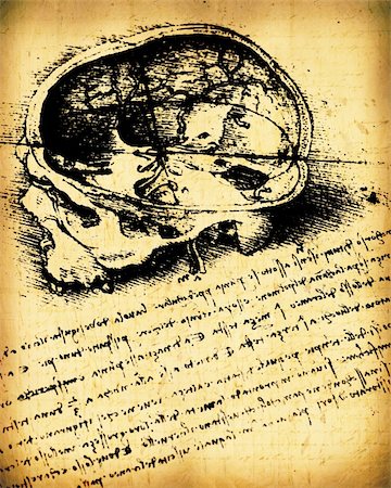 da vinci - Anatomy art by Leonardo Da Vinci from 1492 on textured background. Foto de stock - Super Valor sin royalties y Suscripción, Código: 400-04757395