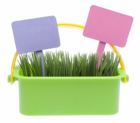 simsearch:400-04314103,k - Bright green basket of spring grass with purple and pink blank garden signs isolated on white with a clipping path. Foto de stock - Super Valor sin royalties y Suscripción, Código: 400-04757503