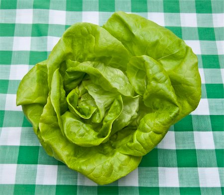 Hydroponic Bibb Lettuce on a Green Picnic Blanket.  Healthy Summer Eating. Foto de stock - Royalty-Free Super Valor e Assinatura, Número: 400-04757592