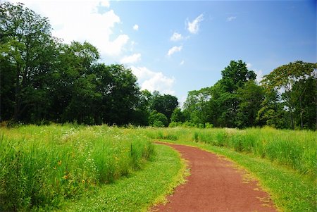 simsearch:400-05716719,k - Quiet rural trail with trees, grass and blue cloudy sky. Stock Photo - Budget Royalty-Free & Subscription, Code: 400-04758225