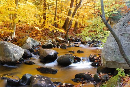 simsearch:400-05680546,k - Autumn creek woods with yellow trees foliage and rocks in forest mountain. Stock Photo - Budget Royalty-Free & Subscription, Code: 400-04758313