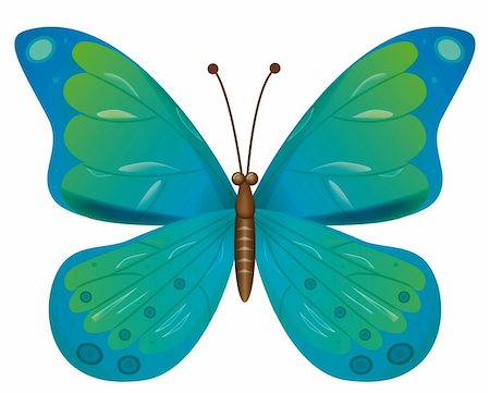 simsearch:400-08402802,k - A beautiful blue butterfly isolated.  Vector illustration. Vector art in Adobe illustrator EPS format, compressed in a zip file. The different graphics are all on separate layers so they can easily be moved or edited individually. The document can be scaled to any size without loss of quality. Stockbilder - Microstock & Abonnement, Bildnummer: 400-04758736