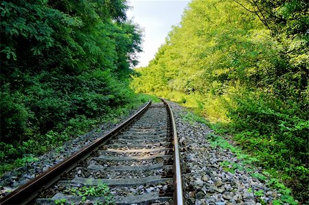simsearch:400-05883568,k - Railway line passing through the quiet forest Photographie de stock - Aubaine LD & Abonnement, Code: 400-04758958