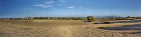 simsearch:400-08287140,k - Panorama of cultivated field with beautiful countryside as background Foto de stock - Royalty-Free Super Valor e Assinatura, Número: 400-04759419