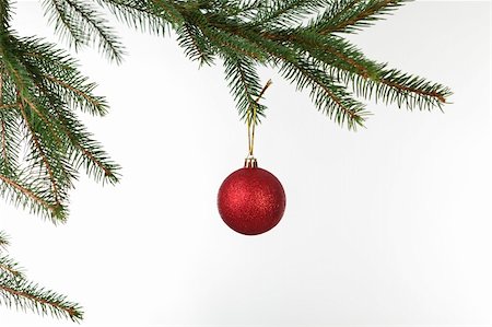 simsearch:400-04073863,k - Red Christmas ball hanging from Tree branch Photographie de stock - Aubaine LD & Abonnement, Code: 400-04759534