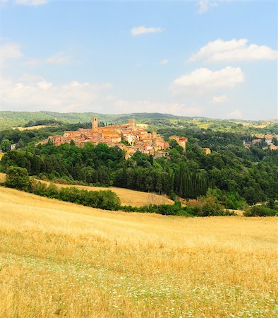 simsearch:879-09034416,k - Typical Medieval Tuscan City Surrounded By Forest Foto de stock - Super Valor sin royalties y Suscripción, Código: 400-04750115