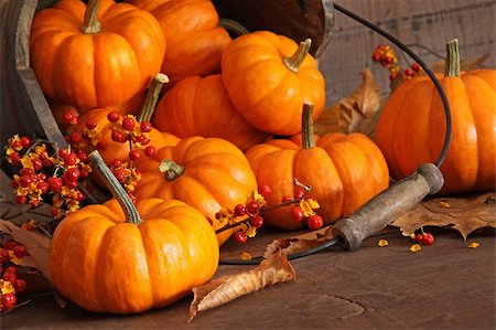 simsearch:400-04008520,k - Small pumpkins with bucket against wood Stock Photo - Budget Royalty-Free & Subscription, Code: 400-04750693