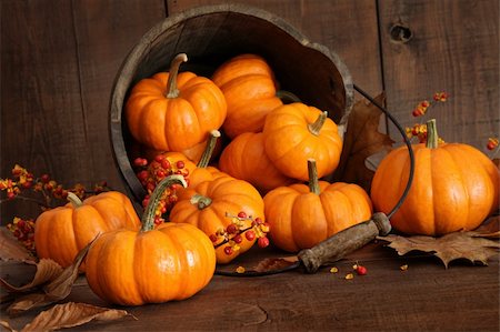 simsearch:400-06391236,k - Wooden bucket filled with colorful tiny pumpkins Fotografie stock - Microstock e Abbonamento, Codice: 400-04750702
