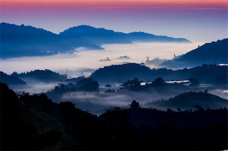 simsearch:400-08290194,k - Mountain sunrise with morning fog at Cameron Highland, Malaysia. Photographie de stock - Aubaine LD & Abonnement, Code: 400-04751117