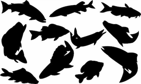 simsearch:400-07224238,k - fishes collection - vector Stock Photo - Budget Royalty-Free & Subscription, Code: 400-04752060