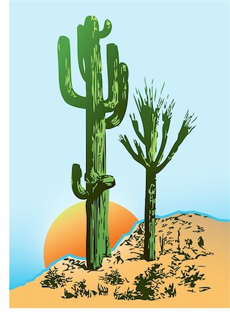 echoforsberg (artist) - Two saguaro cactus in a desert setting Stockbilder - Microstock & Abonnement, Bildnummer: 400-04752075