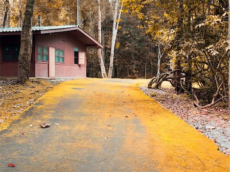 fall aspen leaves - red home in Autumn forest Stock Photo - Budget Royalty-Free & Subscription, Code: 400-04752195