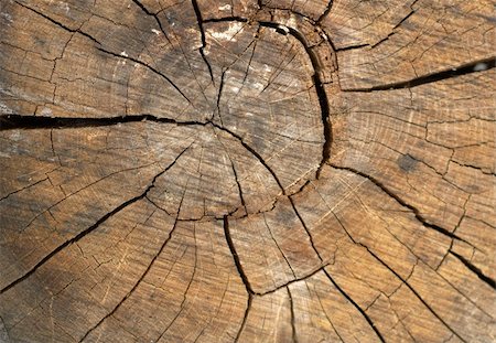 simsearch:696-03396717,k - The Old Wood texture background Stockbilder - Microstock & Abonnement, Bildnummer: 400-04752491