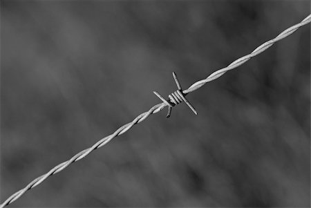 simsearch:400-04735037,k - Black and white take of barbed wire on blurred background Photographie de stock - Aubaine LD & Abonnement, Code: 400-04753003