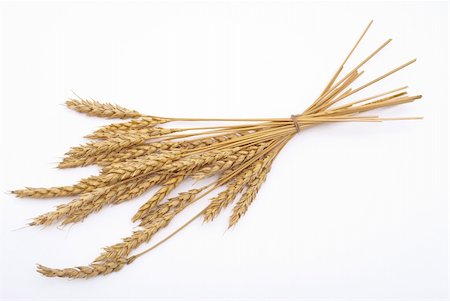 rye ear - Wheat ears Stock Photo - Budget Royalty-Free & Subscription, Code: 400-04753060