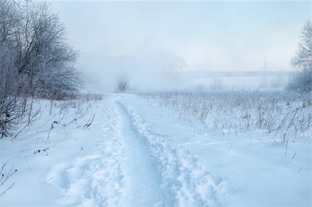 simsearch:700-00371184,k - Dawn frosty day in February, the fog and sun Stock Photo - Budget Royalty-Free & Subscription, Code: 400-04753143