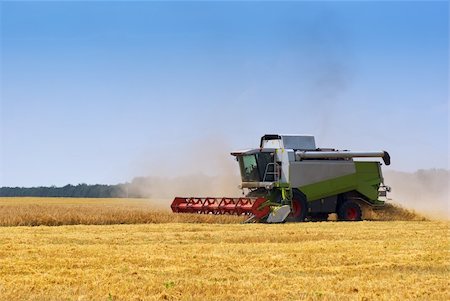 silage - Big  combine working on the Wheat field Stockbilder - Microstock & Abonnement, Bildnummer: 400-04753546