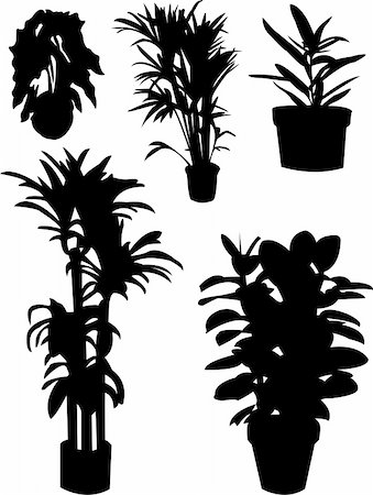 flowers in growing clip art - flowers silhouettes - vector Stock Photo - Budget Royalty-Free & Subscription, Code: 400-04753597