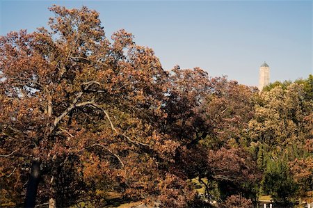 Top of Lincoln's Tomb - seen above the colorful cemetary trees Foto de stock - Super Valor sin royalties y Suscripción, Código: 400-04753870