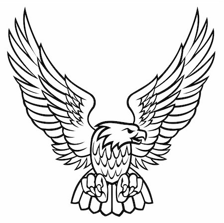 eagle wings fly - Vector illustration. white and black eagle Stock Photo - Budget Royalty-Free & Subscription, Code: 400-04764277