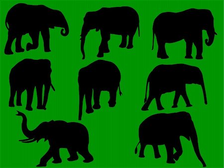 simsearch:400-04315148,k - elephants collection silhouette - vector Stock Photo - Budget Royalty-Free & Subscription, Code: 400-04764378