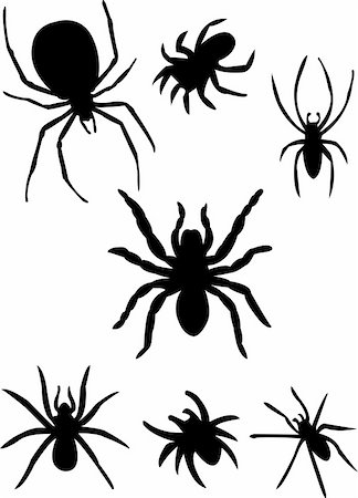 simsearch:400-09051551,k - spiders silhouette - vector Photographie de stock - Aubaine LD & Abonnement, Code: 400-04764386