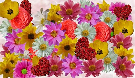 flower collage template for photo collages and scrapbook crafts Stock Photo - Budget Royalty-Free & Subscription, Code: 400-04765271