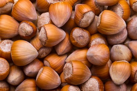 Hazelnut background - top view of fresh hazelnuts Stock Photo - Budget Royalty-Free & Subscription, Code: 400-04766264