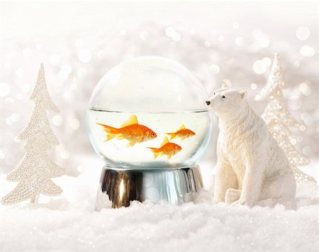 rice bowl - Snow globe with fish in magical winter scene Foto de stock - Super Valor sin royalties y Suscripción, Código: 400-04766463