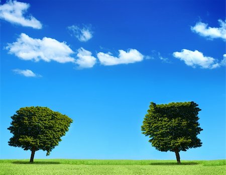 field and two trees, cumulus clouds in background Stock Photo - Budget Royalty-Free & Subscription, Code: 400-04767276