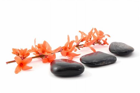 petal on stone - wellness still life with flowers showing zen concept Stock Photo - Budget Royalty-Free & Subscription, Code: 400-04768385