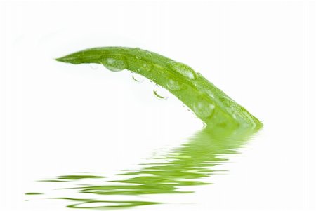 Closeup of the Aloe Vera sliced leaf with juice droplet Stock Photo - Budget Royalty-Free & Subscription, Code: 400-04769832