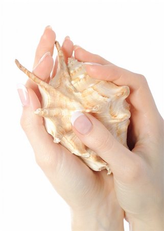 simsearch:400-06061806,k - Beautiful hand with perfect french manicure on treated nails holding sea shell. isolated on white background Stock Photo - Budget Royalty-Free & Subscription, Code: 400-04760433