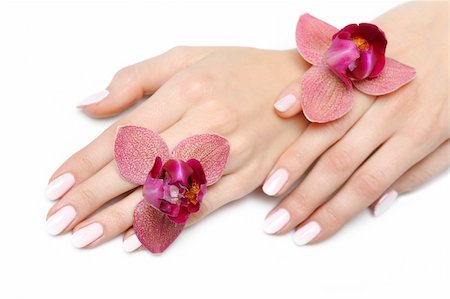 simsearch:400-06061806,k - Beautiful hand with perfect nail pink manicure and purple orchid flower. isolated on white background Stock Photo - Budget Royalty-Free & Subscription, Code: 400-04760461