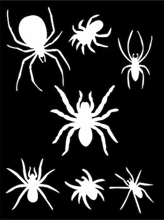 simsearch:400-09051551,k - collection of spiders on black background silhouette - vector Photographie de stock - Aubaine LD & Abonnement, Code: 400-04760759
