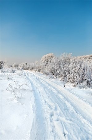 simsearch:400-05063238,k - winter road,  trees and bushes covered by hoarfrost in background Stock Photo - Budget Royalty-Free & Subscription, Code: 400-04761519