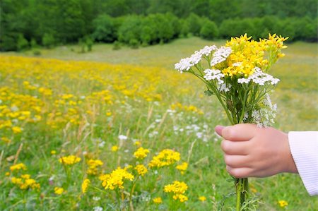 simsearch:400-05248187,k - Children hand hold flowers in meadow spring landscape in Pyrenees mountains Photographie de stock - Aubaine LD & Abonnement, Code: 400-04761818