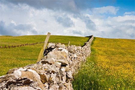 stone walls in meadows - Dry stone wall on the fields in Yorkshire Dales in Great Britain Stock Photo - Budget Royalty-Free & Subscription, Code: 400-04762000