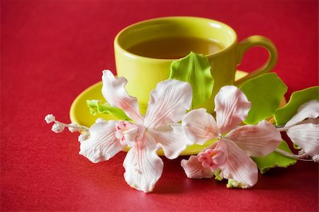 simsearch:400-04232483,k - The cup of green tea with caramel orchid on red background Stock Photo - Budget Royalty-Free & Subscription, Code: 400-04762025