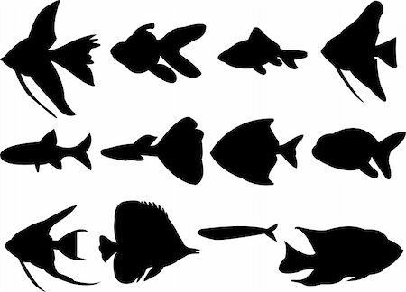 salt water fish aquarium - collection of aquarium fish silhouette - vector Stock Photo - Budget Royalty-Free & Subscription, Code: 400-04762462