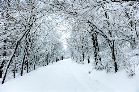 simsearch:400-04940542,k - Winter road covered with fresh snow Foto de stock - Super Valor sin royalties y Suscripción, Código: 400-04762510