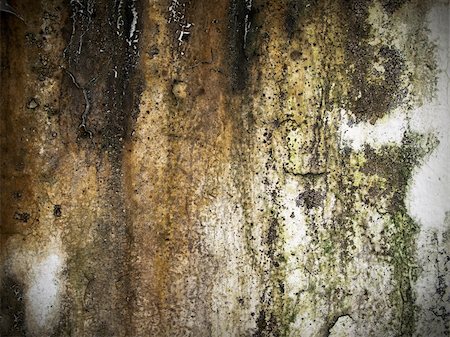 simsearch:400-04233373,k - Abstract from the cracks of the old cement plaster wall Stock Photo - Budget Royalty-Free & Subscription, Code: 400-04762697