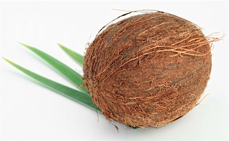 Coconut on white background Fotografie stock - Microstock e Abbonamento, Codice: 400-04763044