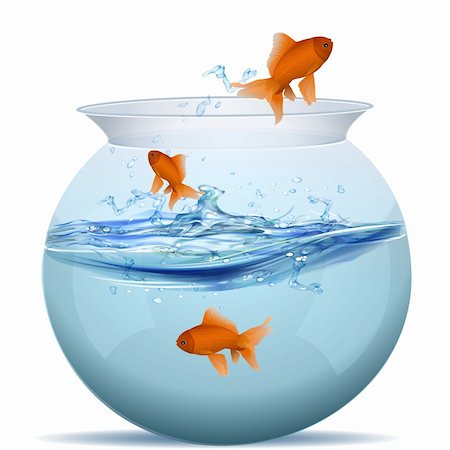 illustration of fish tank on white background Foto de stock - Super Valor sin royalties y Suscripción, Código: 400-04763896