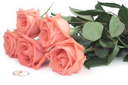 Roses and wedding rings on a white background Stock Photo - Budget Royalty-Free & Subscription, Code: 400-04774006