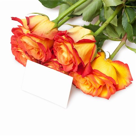 simsearch:400-06522703,k - roses isolated on white with card Fotografie stock - Microstock e Abbonamento, Codice: 400-04774550