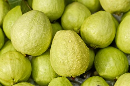 elwynn (artist) - Guavas with water, green fresh fruit in tropical area. Foto de stock - Royalty-Free Super Valor e Assinatura, Número: 400-04775849