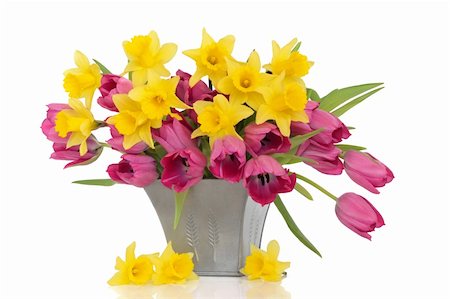 simsearch:400-06356460,k - Tulip and daffodil flowers in a pewter vase, with loose daffodils, over white background. Foto de stock - Super Valor sin royalties y Suscripción, Código: 400-04776617